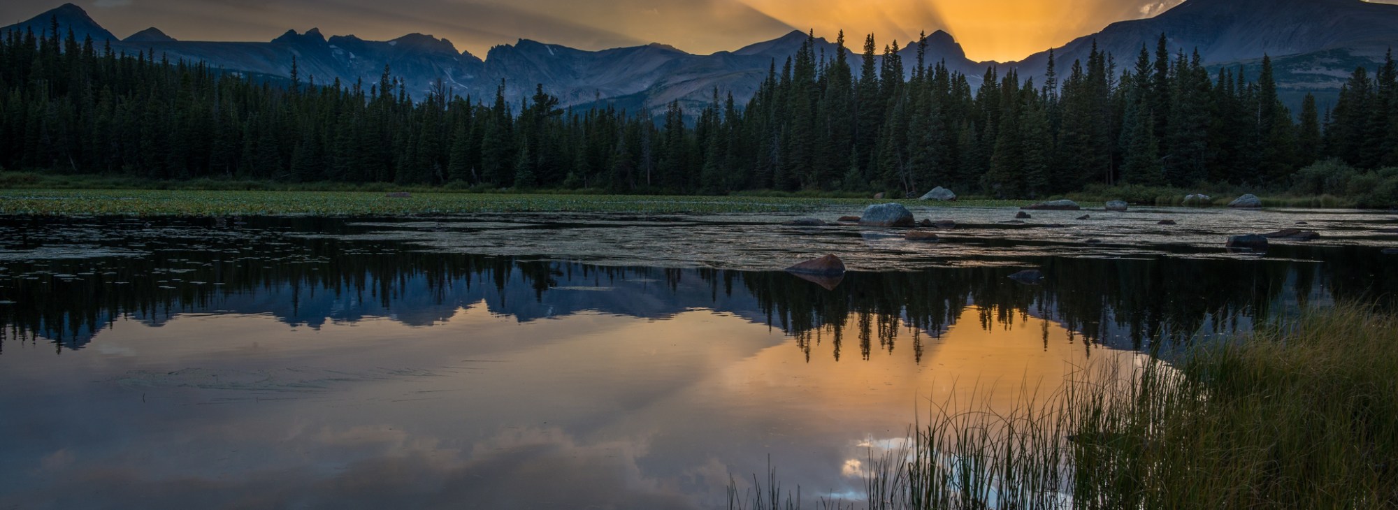 Endodontics Aurora CO, Endodontist